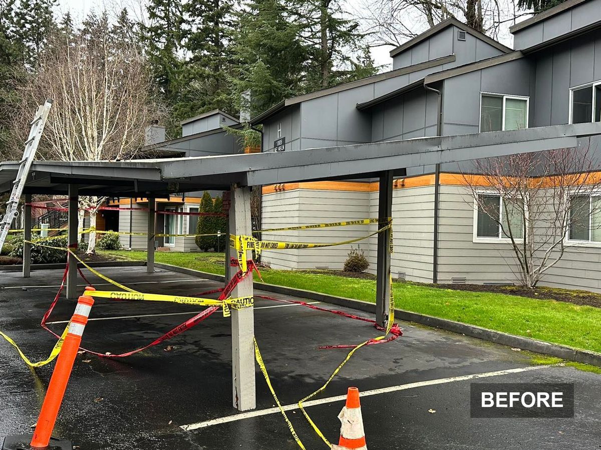 Carport Removal — before
