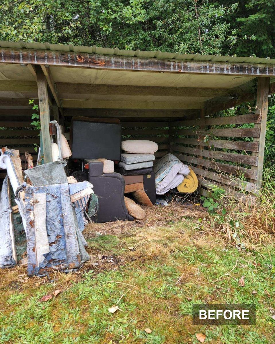 Shed Removal — before