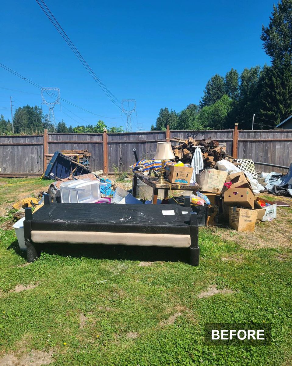 Yard Debris Removal — before