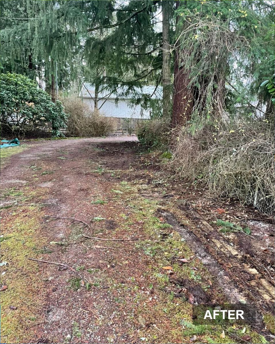 Yard Clean-Up — after