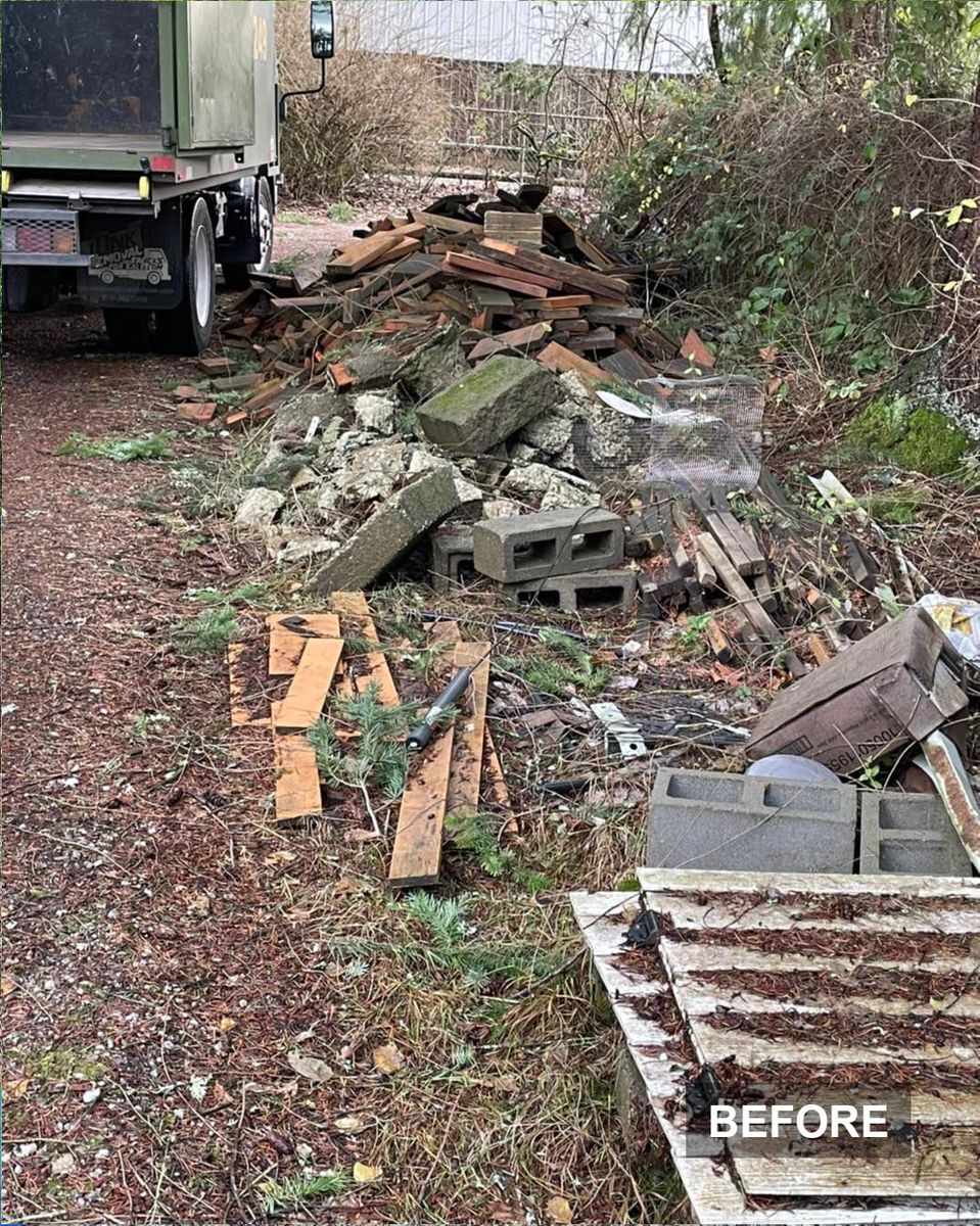 Yard Clean-Up — before